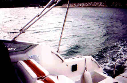 boat5.JPG (14011 bytes)